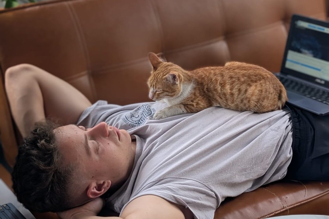 Cat napping — the Bruda way