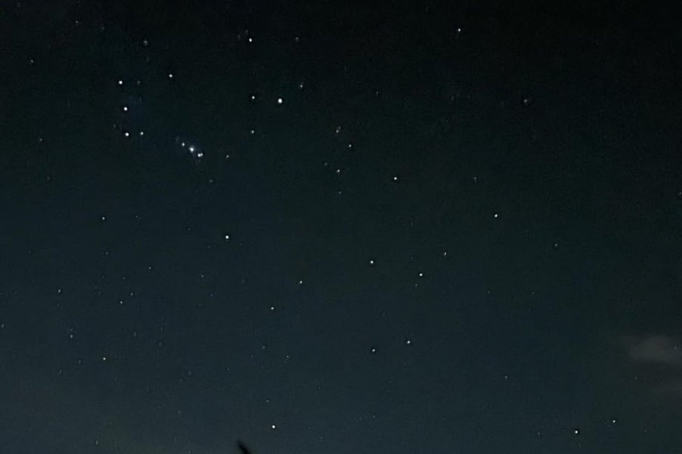 Stargazing under the jungle sky