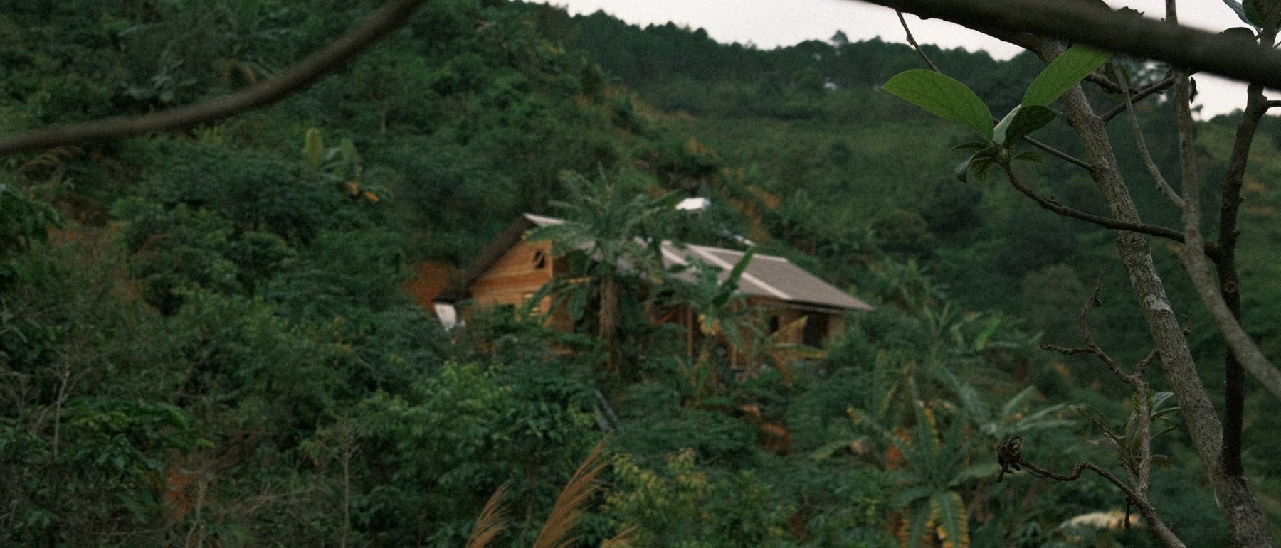 Bruda Club jungle house from above