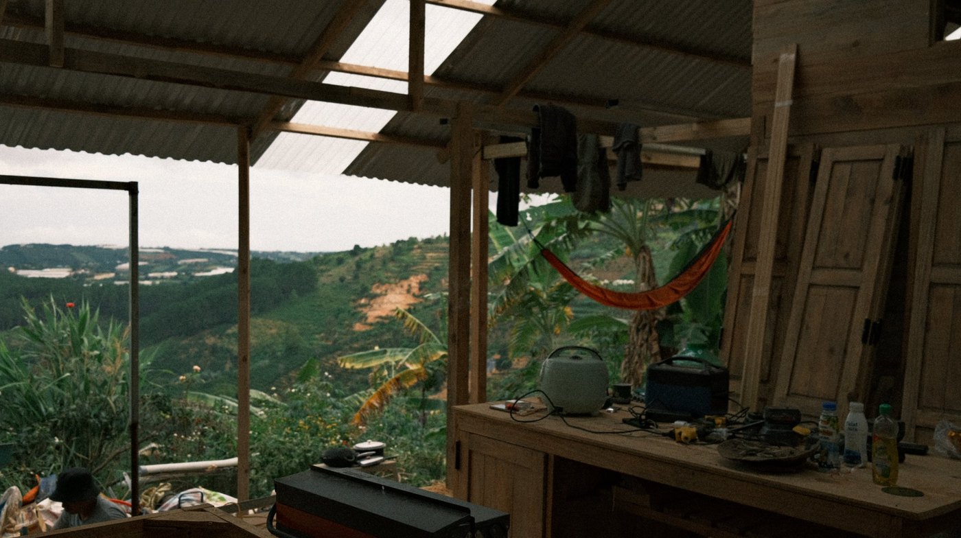 Hammock with a view