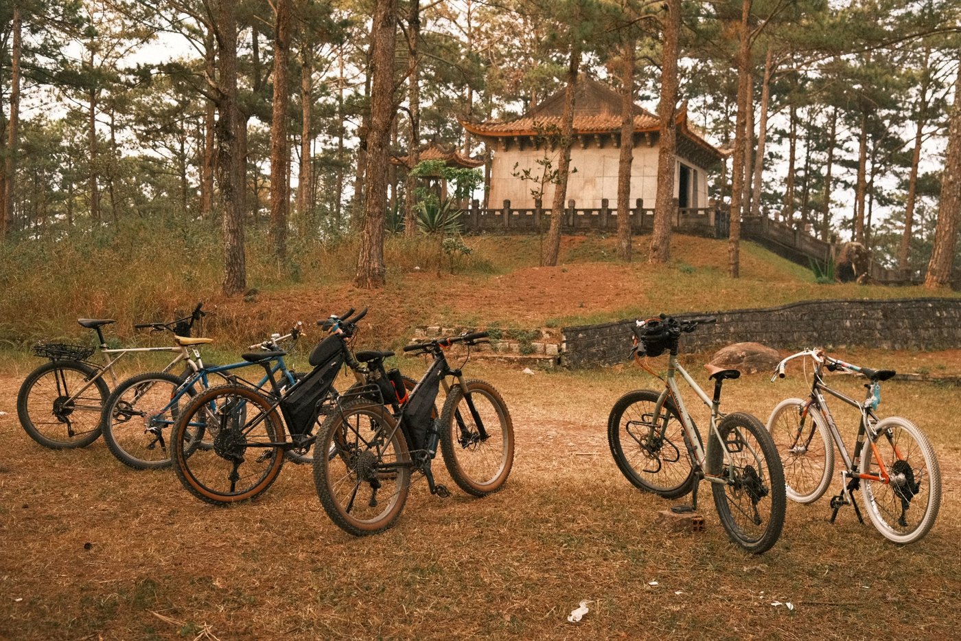 Cycling through the forest